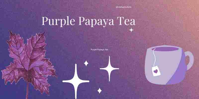 Purple papaya tea