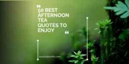 50 Best Afternoon Tea Quotes to Enjoy