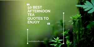 50 Best Afternoon Tea Quotes to Enjoy