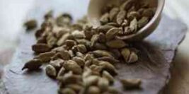 Cardamom Tea: How Cardamom Tea improves your health