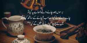 Best Chai Quotes in Urdu Text – Bestteabenefits