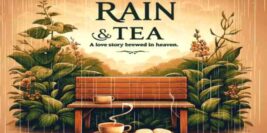 Enjoy Monsoon Tea Quotes and Captions in Rainy Day for Inspirations