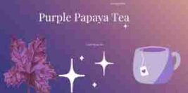 4 Top Purple Papaya Tea Benefits That Will Transform Your Daily Routine