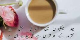Tea Urdu Poetry- Best 2 Lines Tea Urdu Poetry