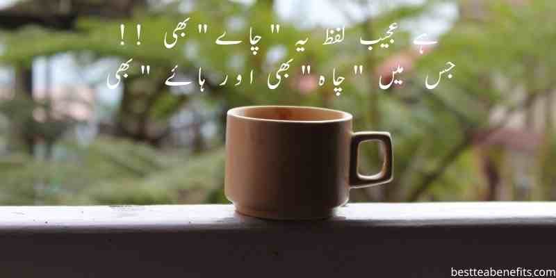 Poetry on chai in urdu