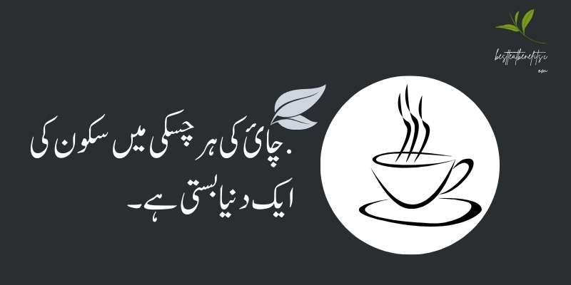 urdu oolong tea quotes