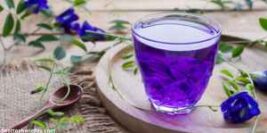 Sip and Amazing – Exploring the Range of Delicious Purple Tea