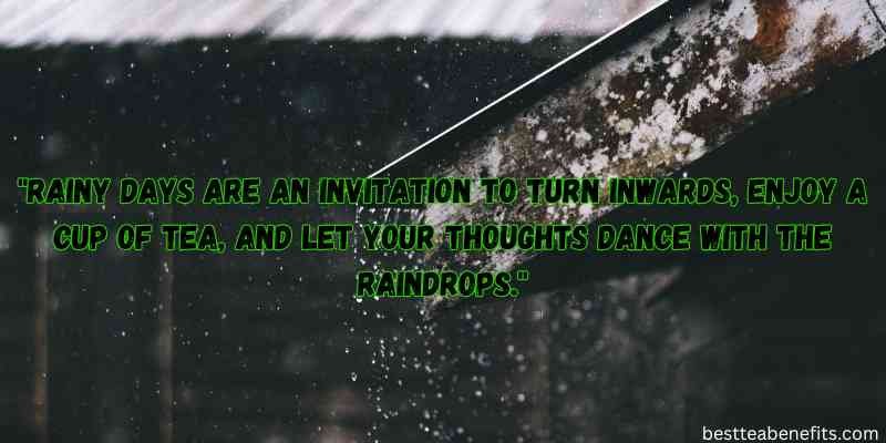 rain tea quotes in English