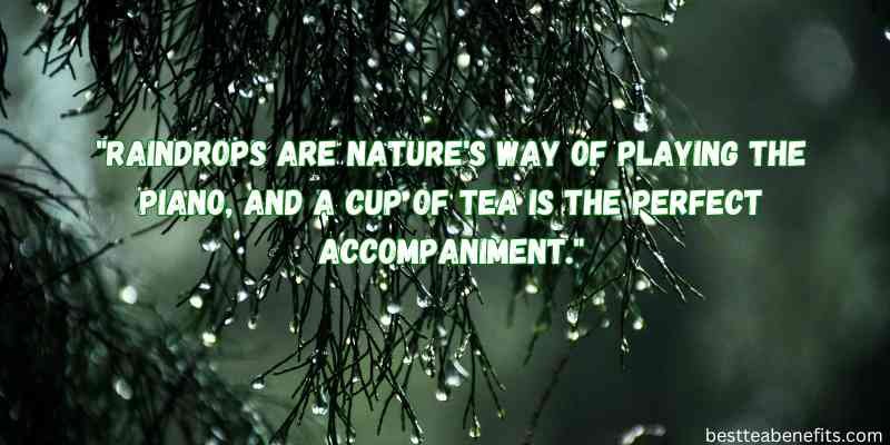 Rain tea quotes in english