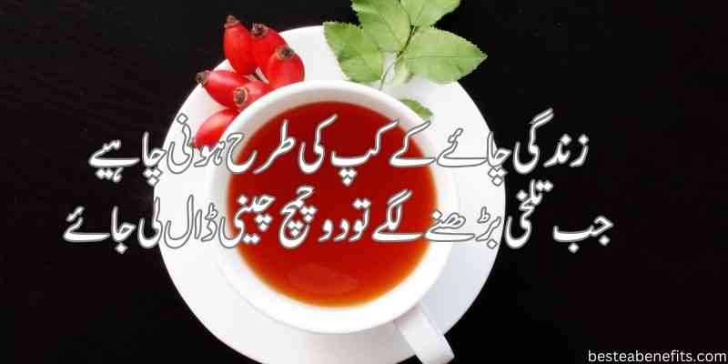 sham chai poetry