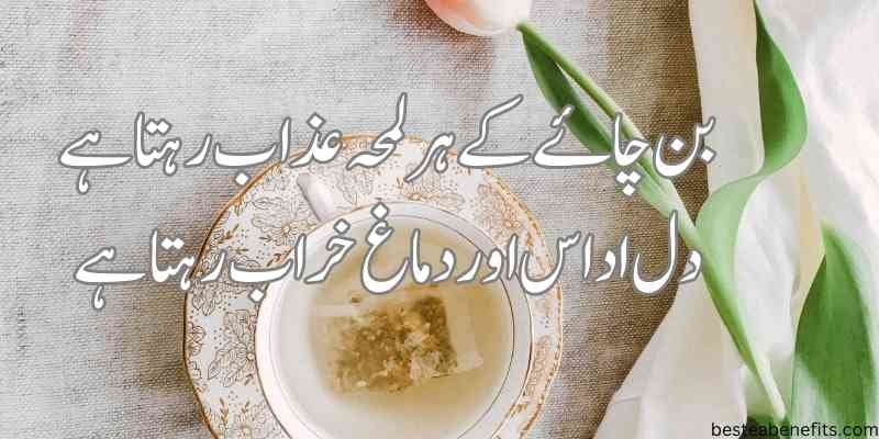 sham ki chai urdu