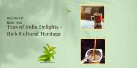 Teas of India Delights – Indian Loose Leaf Tea