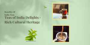 Teas of India Delights – Indian Loose Leaf Tea