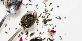 Different Types of Green Tea – Entire Guide to Flavor